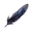 Corvus's Feather