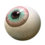 Zom's Eye