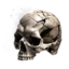 Anguished Skull