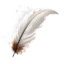 Gryphon Feather