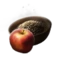 Apple Seed