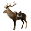 Deer Beast Of Burden