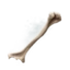 Hornhexer's Bone