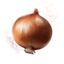 Onion