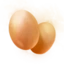 Chicken Egg